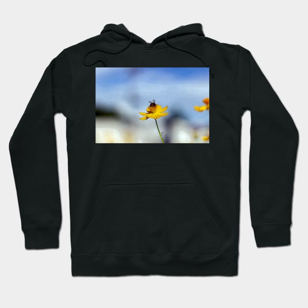 bee on a flower Hoodie by rickylabellevie